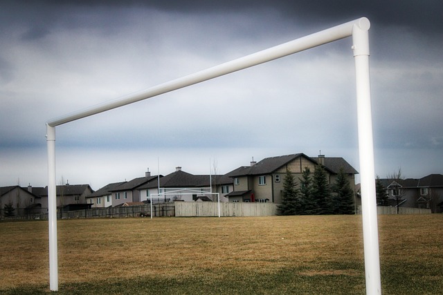 法国遭对手diss：就会蹲坑反击 伊布力挺博格巴：让他们喷去吧.