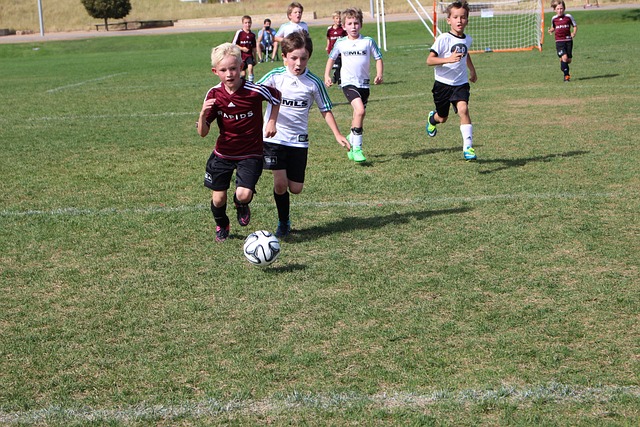 了穆里尼奥 了穆里尼奥