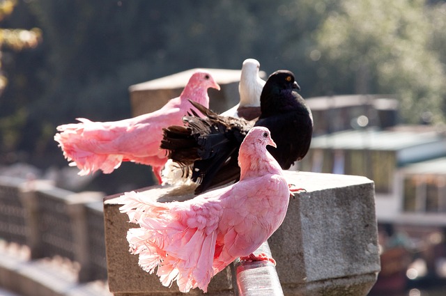 用实力证明 用实力证明