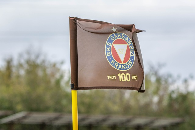 变的战术安 变的战术安