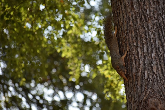 成为历史的 成为历史的