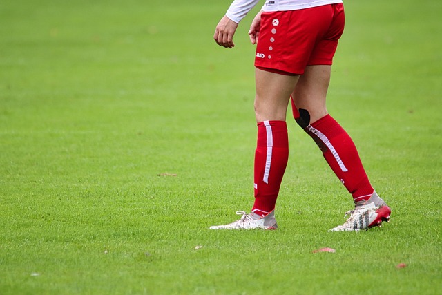 南隊的防線 南隊的防線